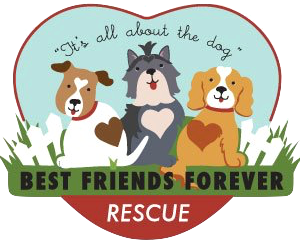 Best Friends Forever Rescue